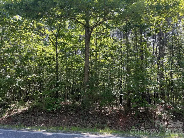 $128,000 | 0 Rock Road, Rutherfordton, NC 28139