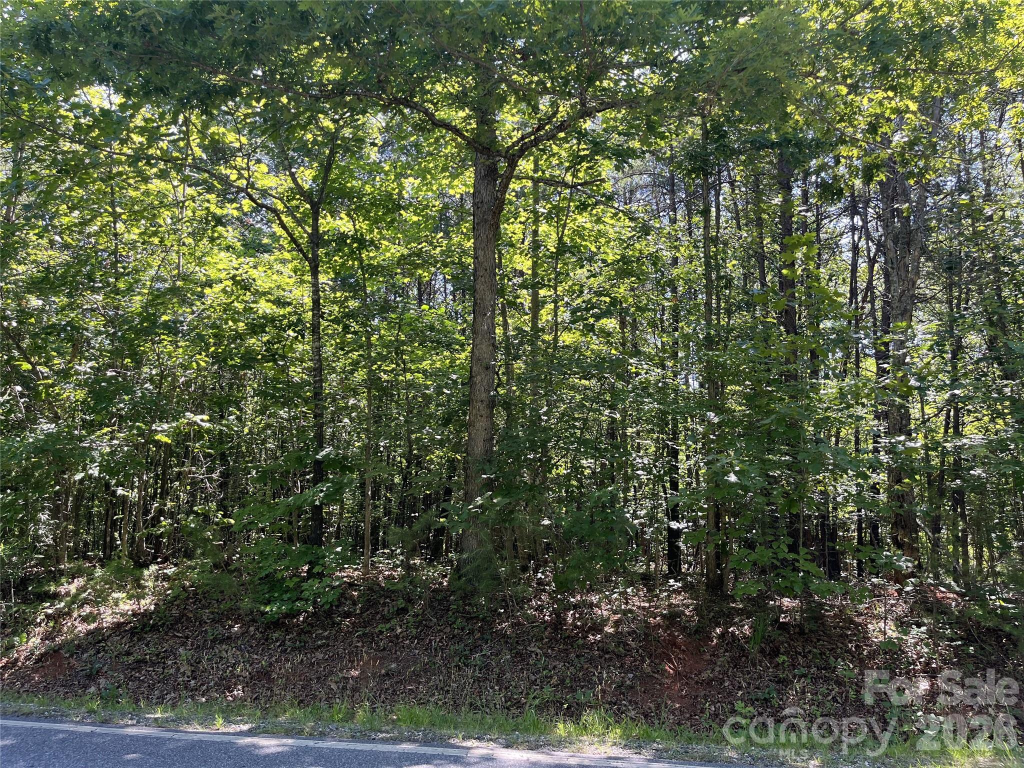 0 Rock Road Rutherfordton, NC 28139 - Photo 1 of 5