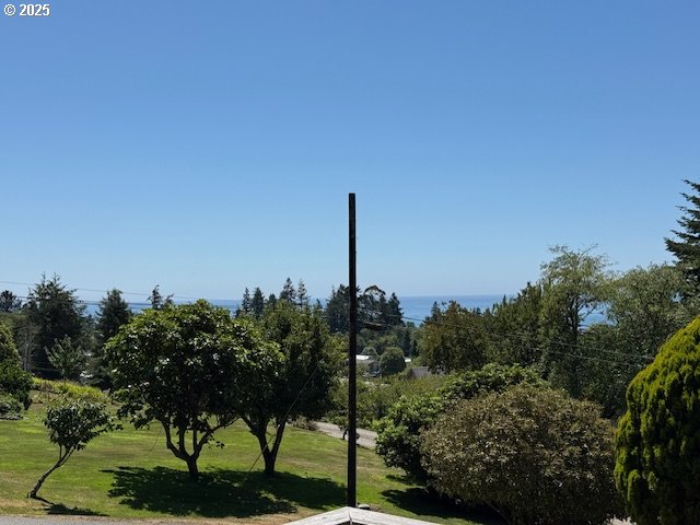97923 Payne Road Brookings, OR 97415 - Photo 3 of 42 a green field with trees in the background