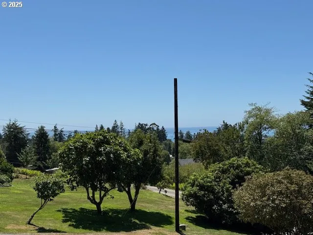 a view of a garden with a tree in the background