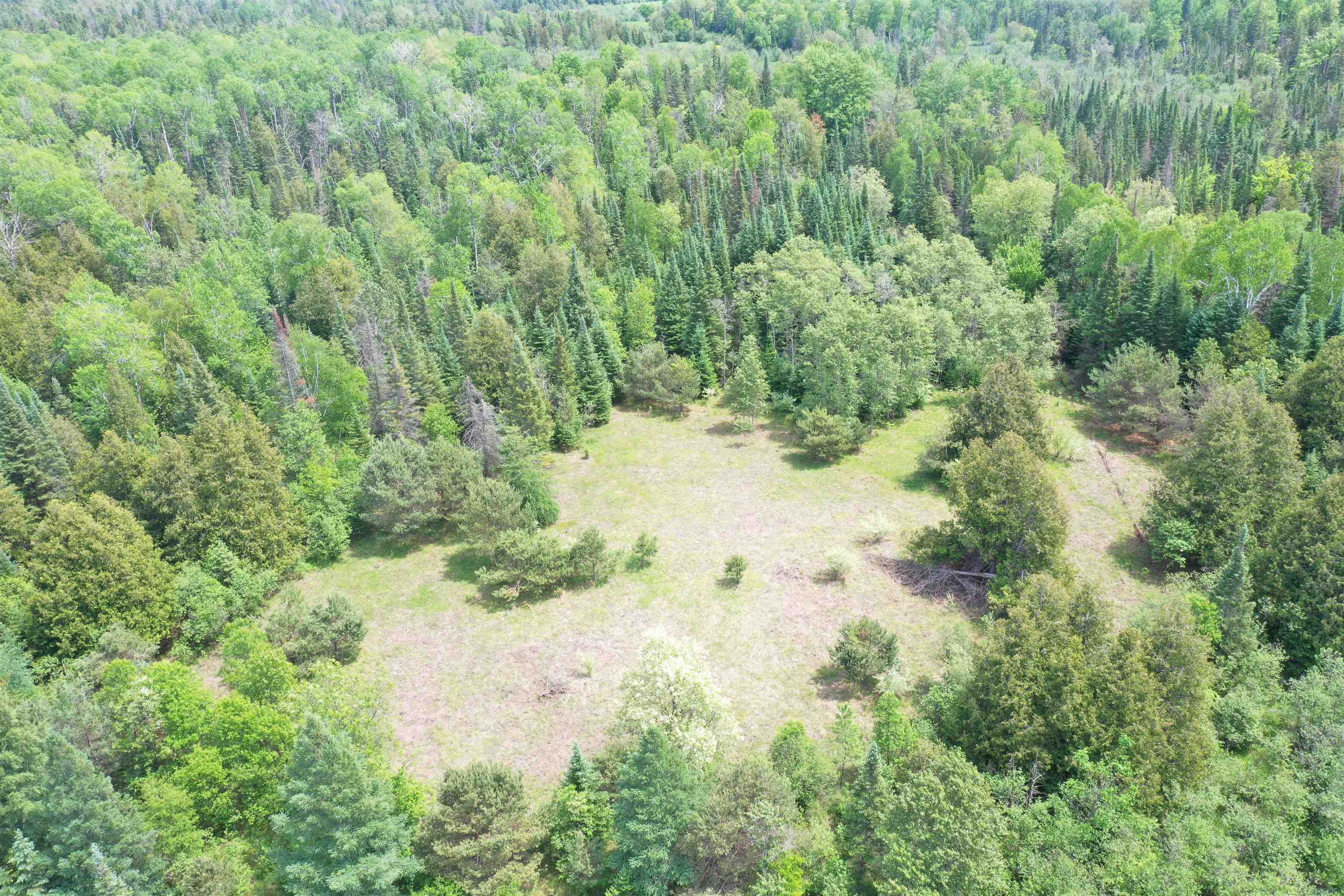 Na North Morrison Road Rose City, MI 48654 - Photo 2 of 9 1922744-05e1ce61-df9e-4853-99bb-1ac543d7a556.JPG