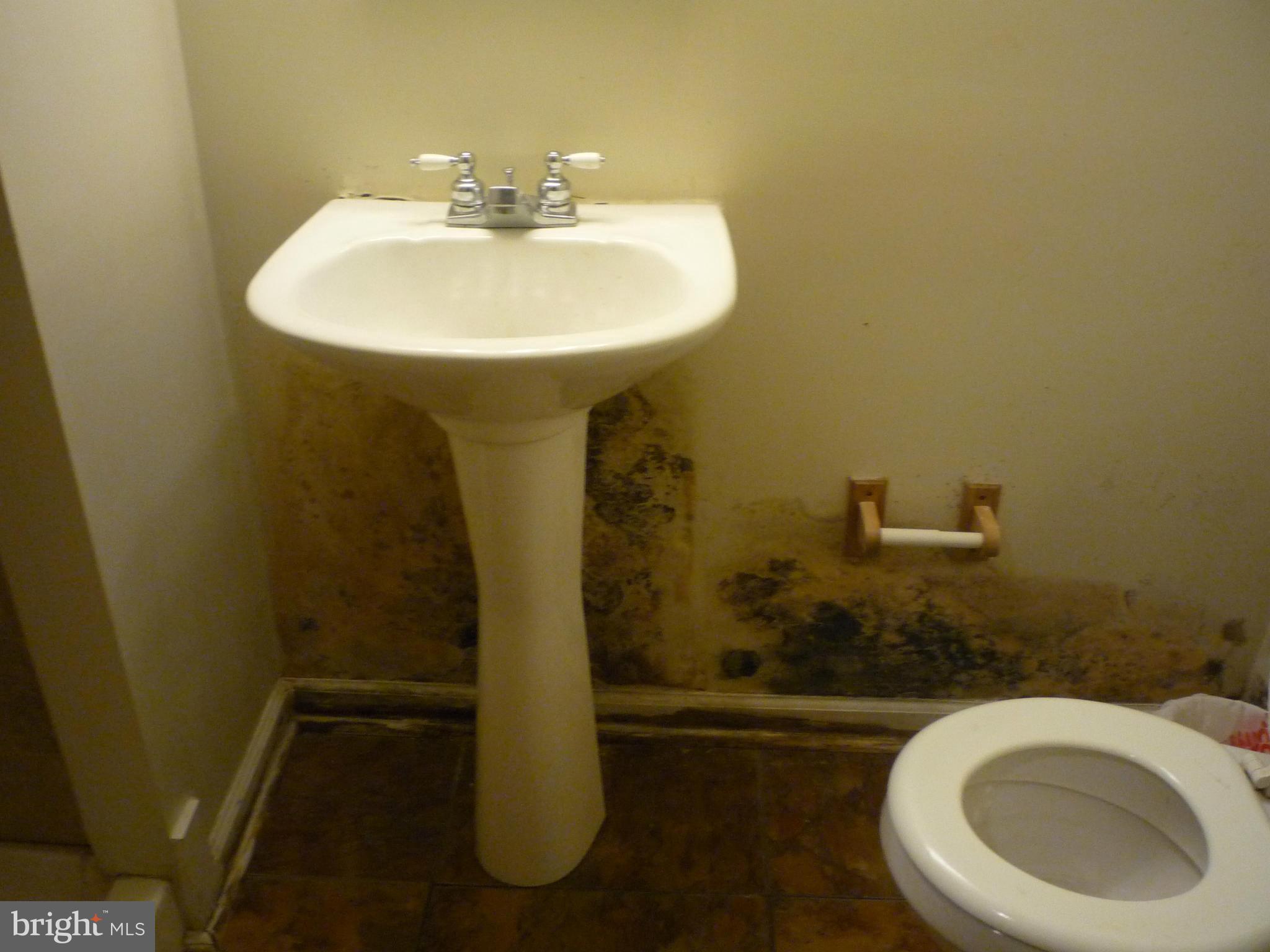 509 Random Road Baltimore, MD 21229 - Photo 13 of 17 Bath