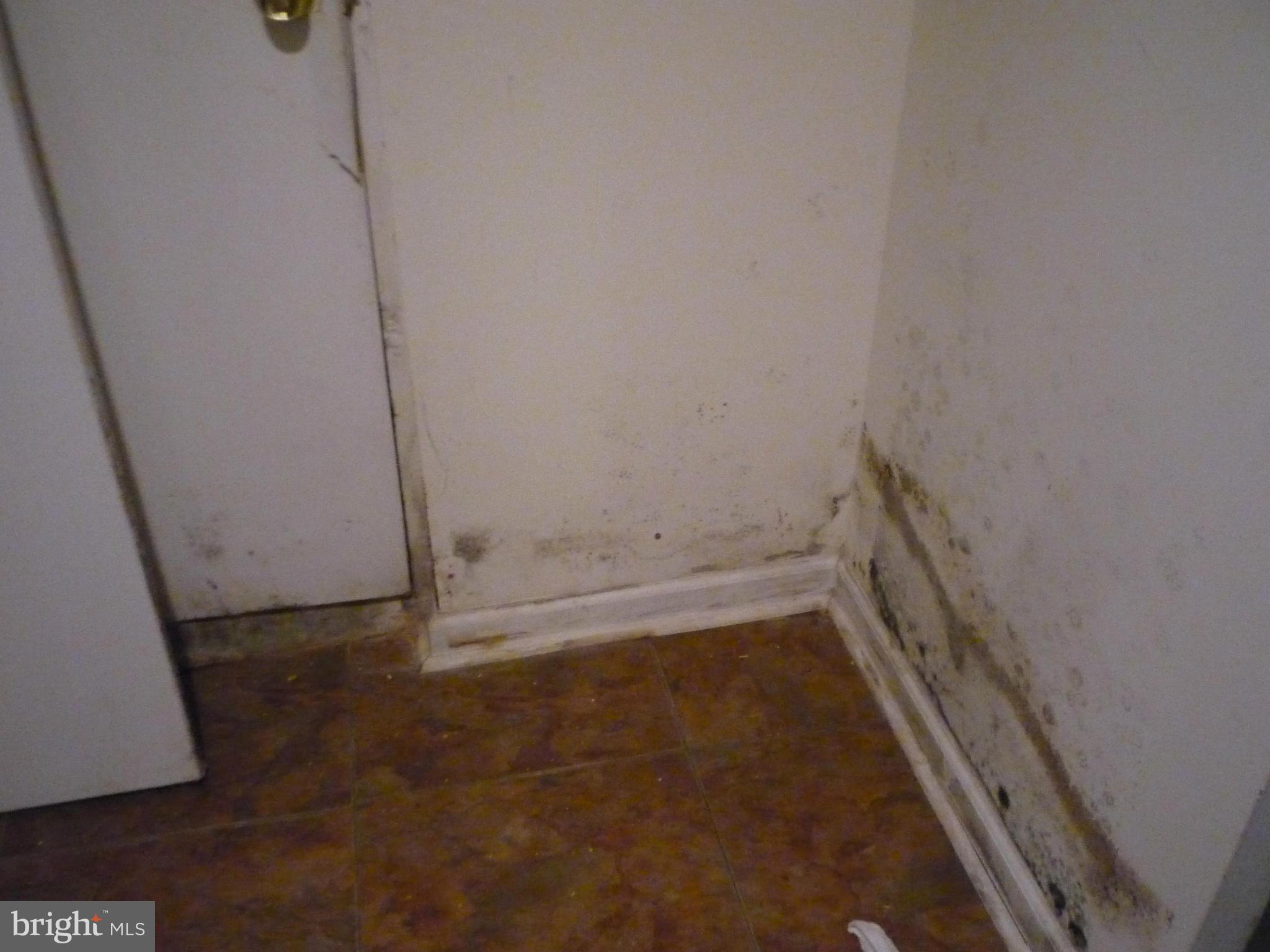 509 Random Road Baltimore, MD 21229 - Photo 15 of 17 Basement