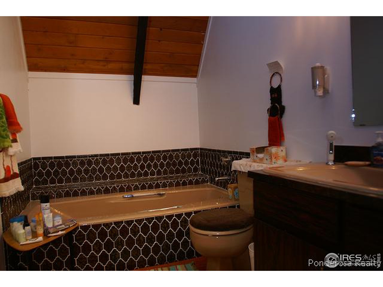 384 Navaho Road Red Feather Lakes, CO 80545 - Photo 6 of 18 Gallery Image 6