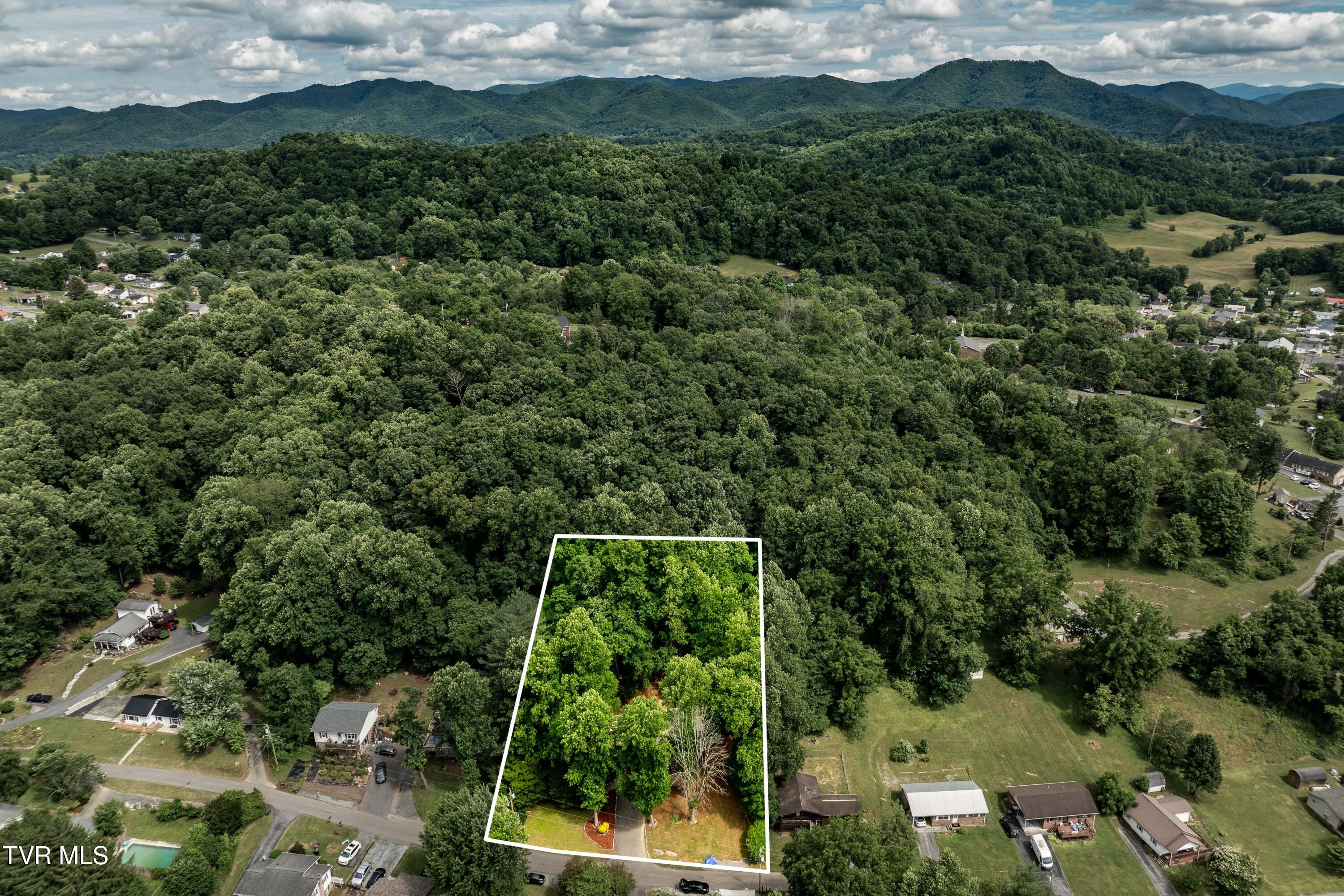 1113 Berry Road Elizabethton, TN 37643 - Photo 42 of 88 1113 Berry Rd (3 of 89)