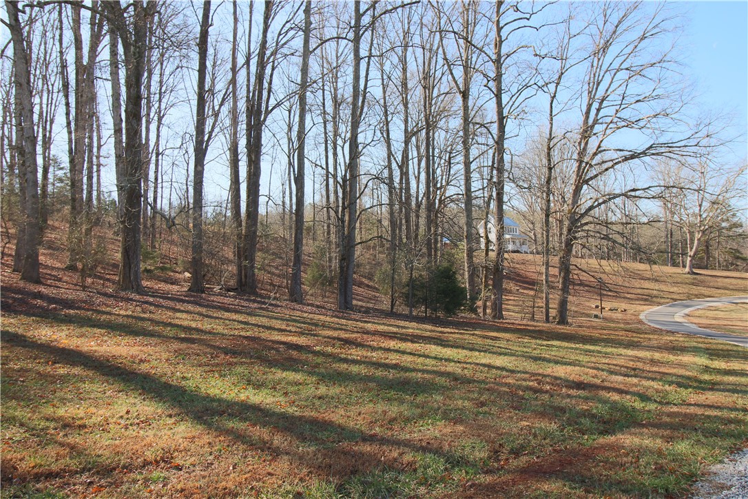 684 Stewart Gin Road Liberty, SC 29657 - Photo 26 of 41