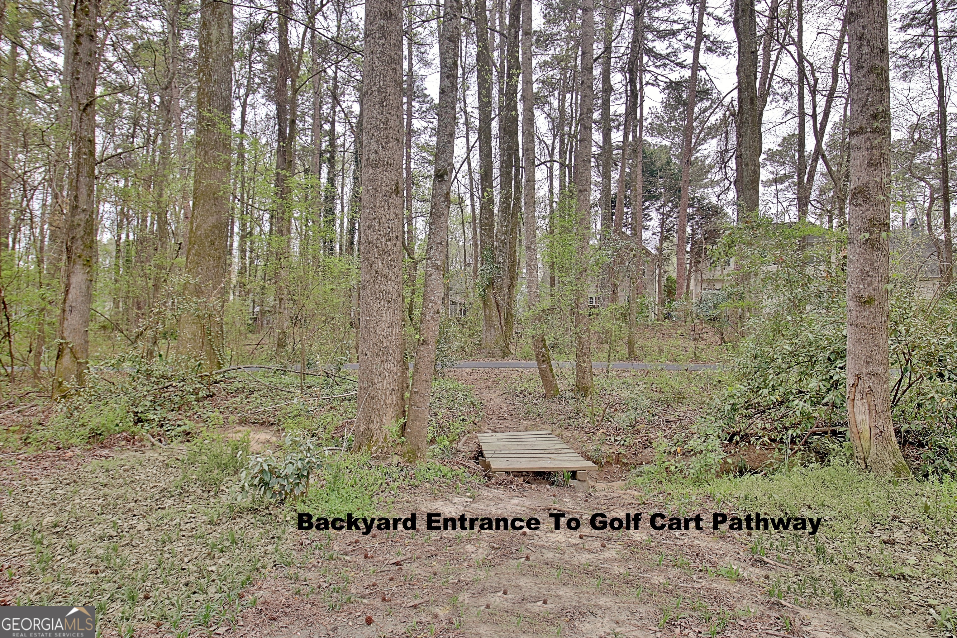 321 Walnut Grove Road Peachtree City, GA 30269 - Photo 75 of 78