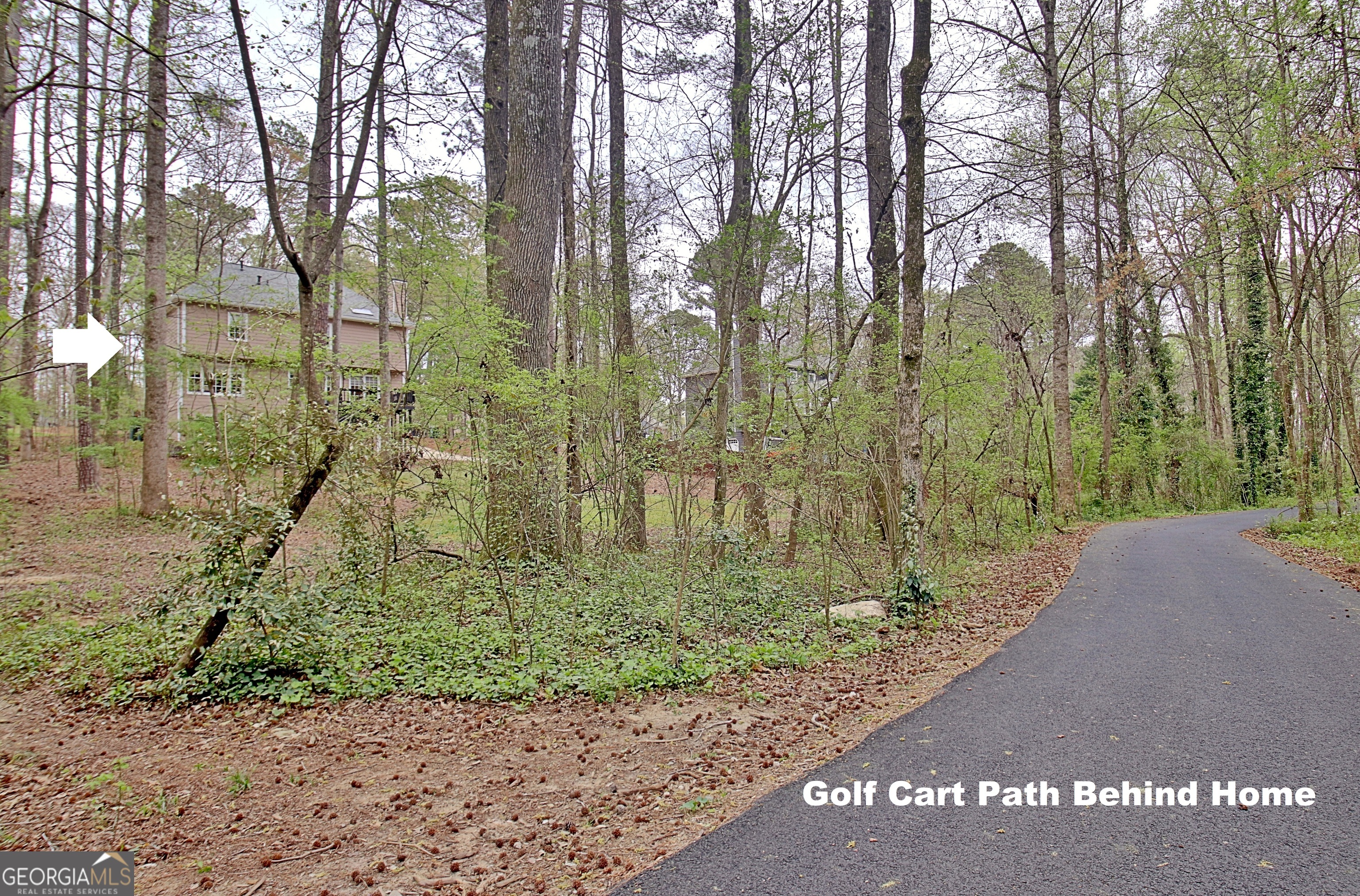 321 Walnut Grove Road Peachtree City, GA 30269 - Photo 76 of 78