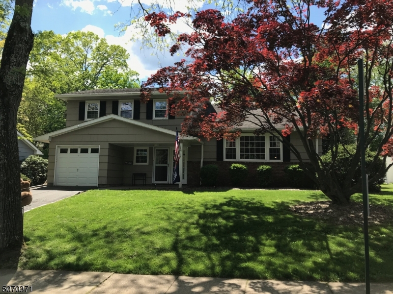 a front view of a house with yard and green space