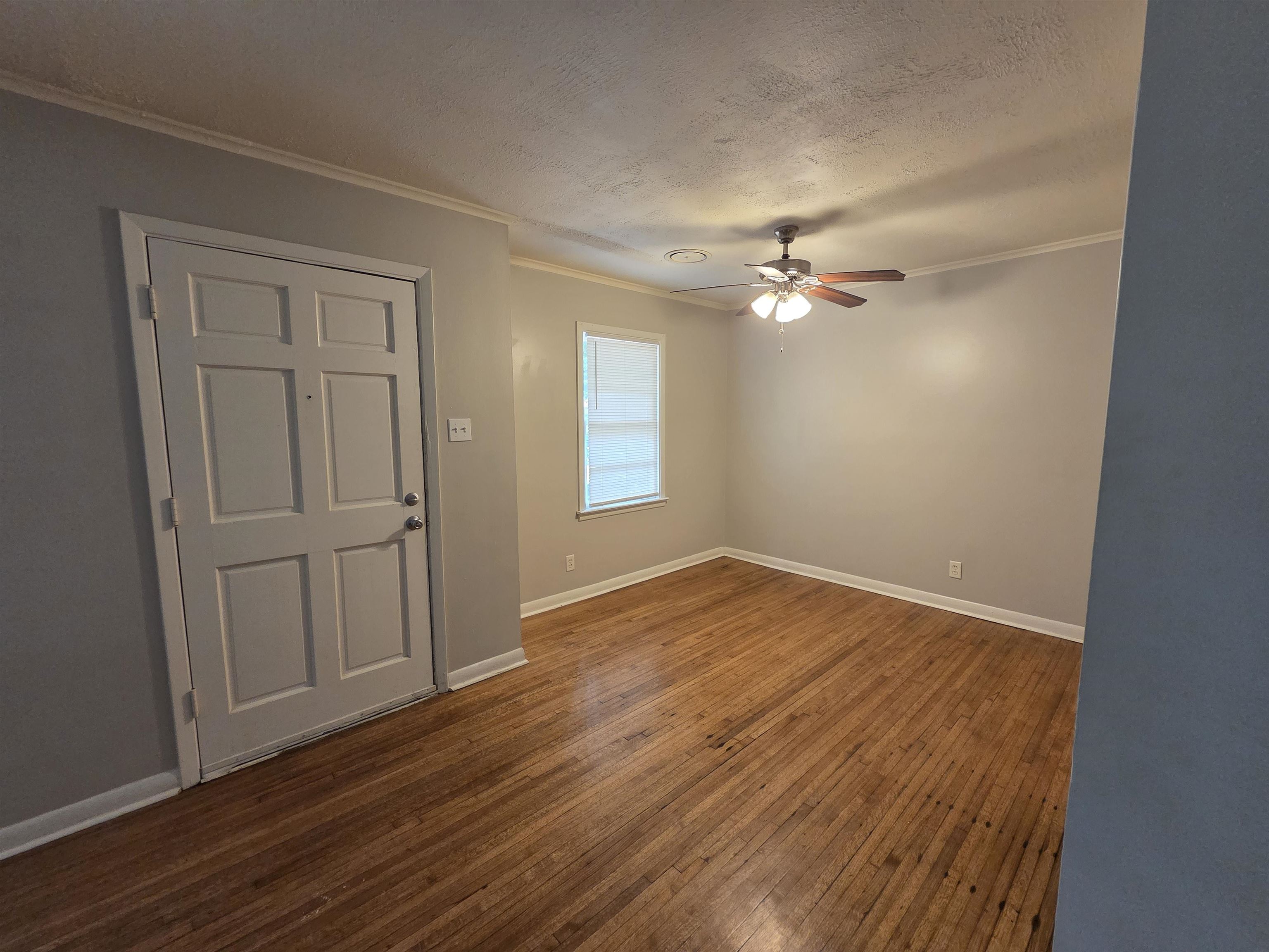 5369 Lochinvar Road Memphis, TN 38116 - Photo 2 of 24
