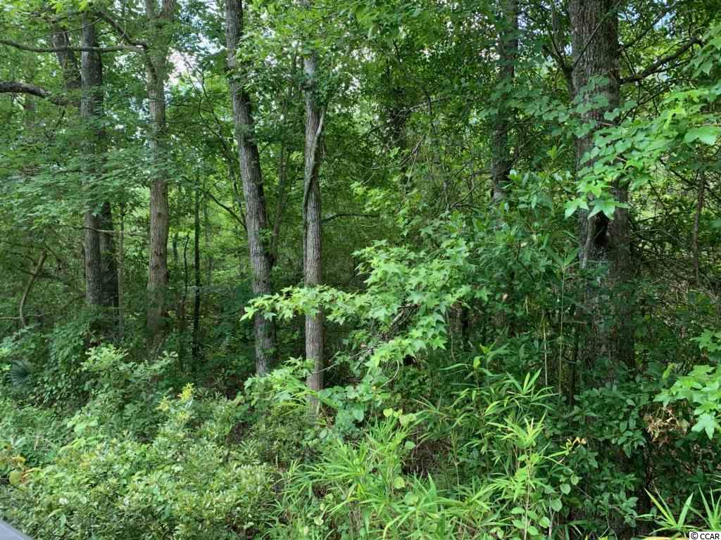 11-ac 11-ac County Line Road Hemingway, SC 29554 - Photo 2 of 3