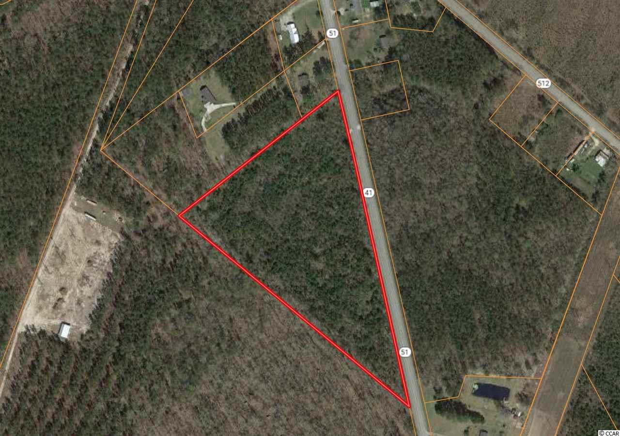 11-ac 11-ac County Line Road Hemingway, SC 29554 - Photo 3 of 3