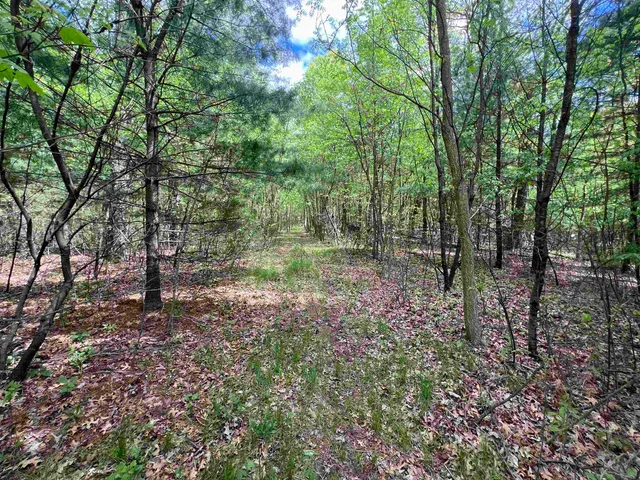 $177,500 | 17.75-acres County Rd G, Oxford, WI 53952