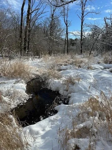 $177,500 | 17.75-acres County Rd G, Oxford, WI 53952