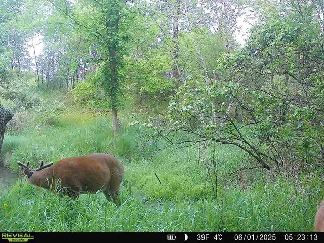 $177,500 | 17.75-acres County Rd G, Oxford, WI 53952