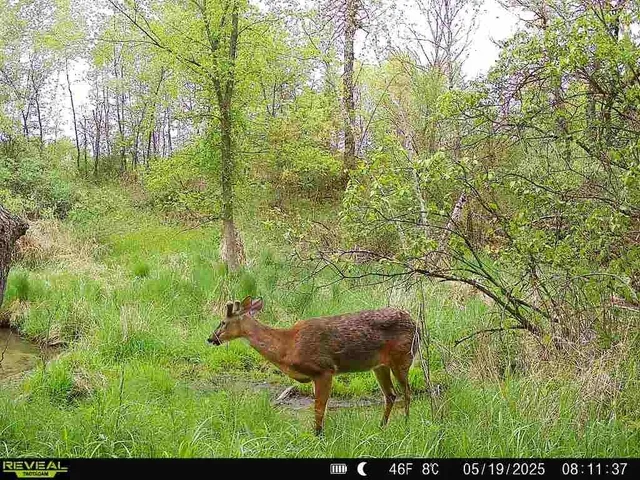 $177,500 | 17.75-acres County Rd G, Oxford, WI 53952