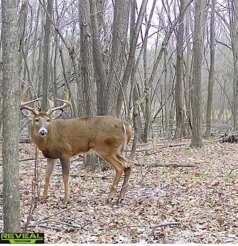 $177,500 | 17.75-acres County Rd G, Oxford, WI 53952