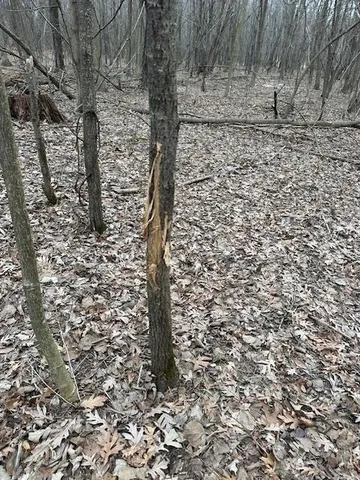 $177,500 | 17.75-acres County Rd G, Oxford, WI 53952