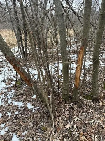 $177,500 | 17.75-acres County Rd G, Oxford, WI 53952