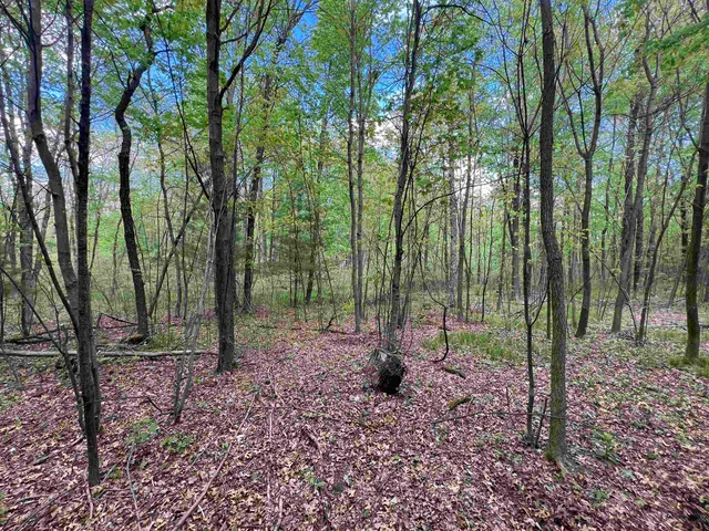 $177,500 | 17.75-acres County Rd G, Oxford, WI 53952
