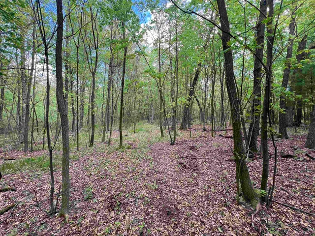$177,500 | 17.75-acres County Rd G, Oxford, WI 53952