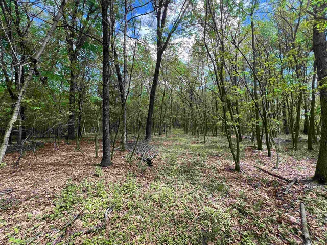 $177,500 | 17.75-acres County Rd G, Oxford, WI 53952