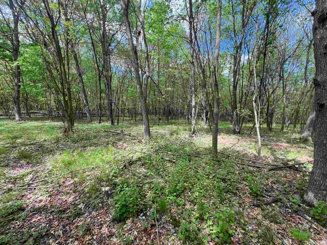 $177,500 | 17.75-acres County Rd G, Oxford, WI 53952