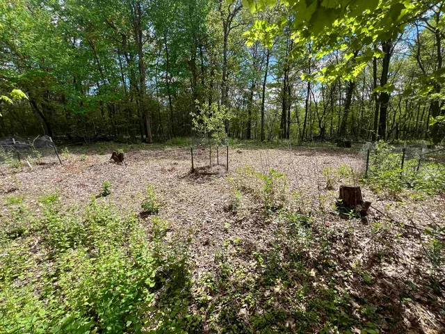 $177,500 | 17.75-acres County Rd G, Oxford, WI 53952