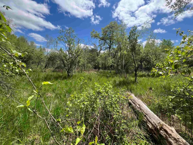 $177,500 | 17.75-acres County Rd G, Oxford, WI 53952