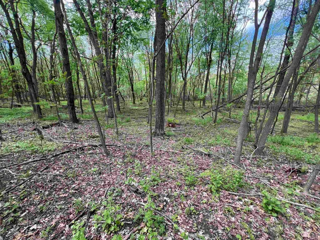 $177,500 | 17.75-acres County Rd G, Oxford, WI 53952