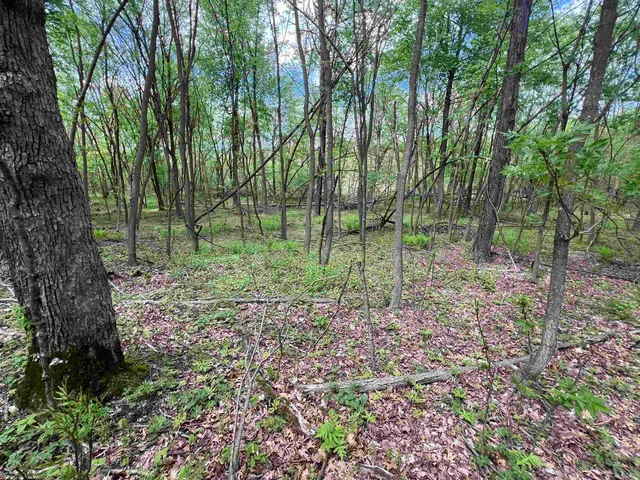 $177,500 | 17.75-acres County Rd G, Oxford, WI 53952