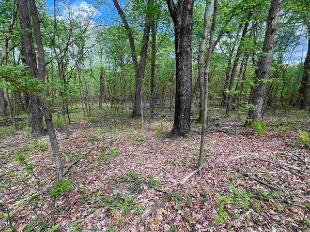 $177,500 | 17.75-acres County Rd G, Oxford, WI 53952