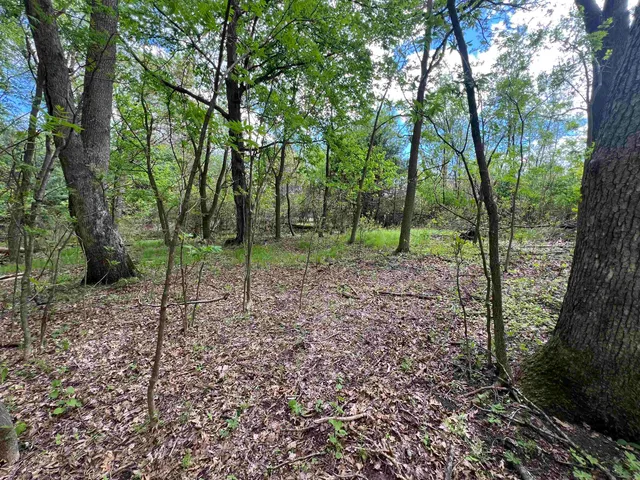 $177,500 | 17.75-acres County Rd G, Oxford, WI 53952