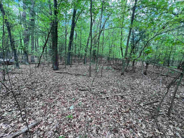 $177,500 | 17.75-acres County Rd G, Oxford, WI 53952