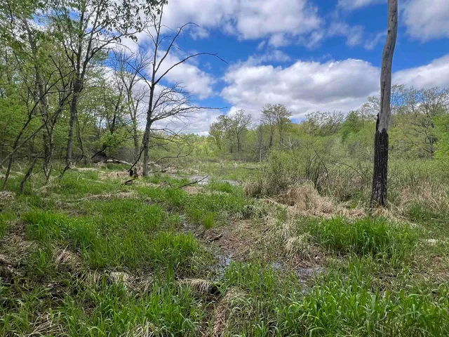 $177,500 | 17.75-acres County Rd G, Oxford, WI 53952
