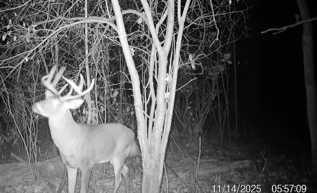 $177,500 | 17.75-acres County Rd G, Oxford, WI 53952