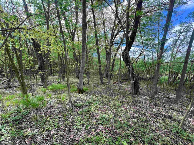 $177,500 | 17.75-acres County Rd G, Oxford, WI 53952