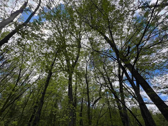 $177,500 | 17.75-acres County Rd G, Oxford, WI 53952