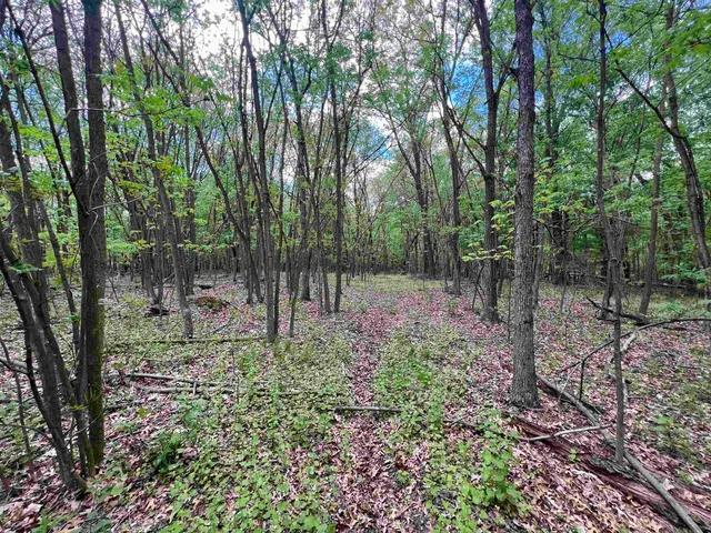 $177,500 | 17.75-acres County Rd G, Oxford, WI 53952