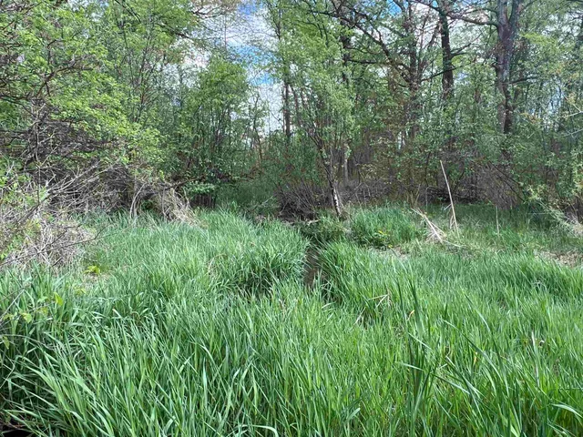 $177,500 | 17.75-acres County Rd G, Oxford, WI 53952