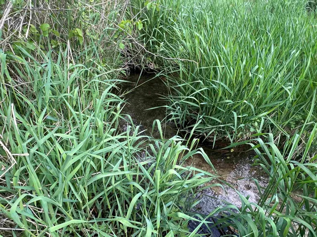 $177,500 | 17.75-acres County Rd G, Oxford, WI 53952