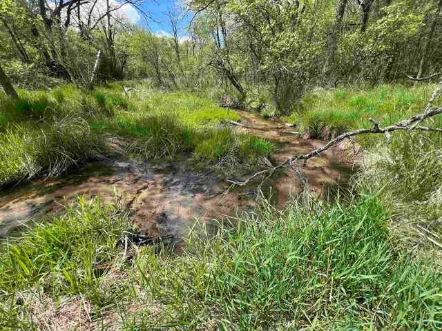 $177,500 | 17.75-acres County Rd G, Oxford, WI 53952