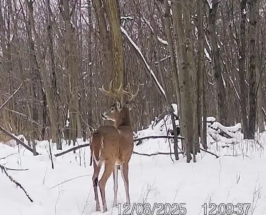 $177,500 | 17.75-acres County Rd G, Oxford, WI 53952