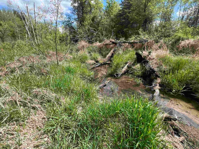 $177,500 | 17.75-acres County Rd G, Oxford, WI 53952