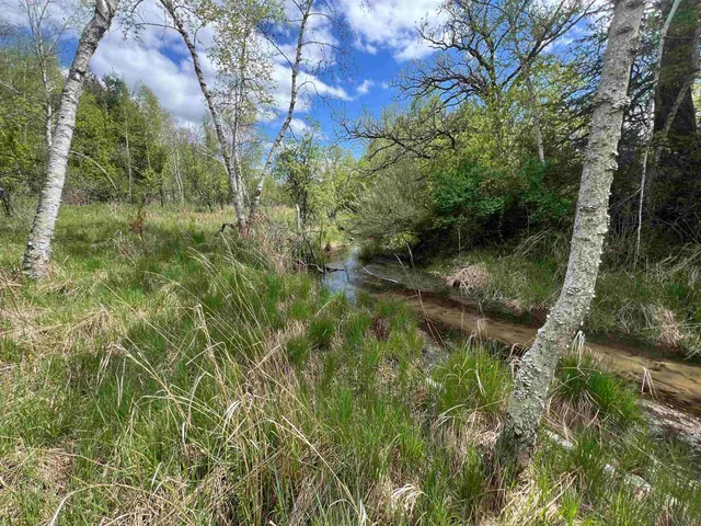 $177,500 | 17.75-acres County Rd G, Oxford, WI 53952