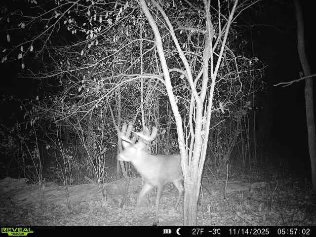 $177,500 | 17.75-acres County Rd G, Oxford, WI 53952