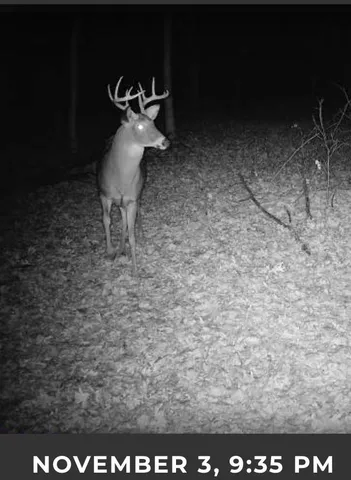 $177,500 | 17.75-acres County Rd G, Oxford, WI 53952