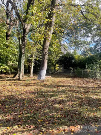 a view of a yard with a tree