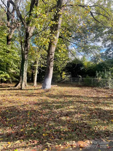 a view of a yard with a tree