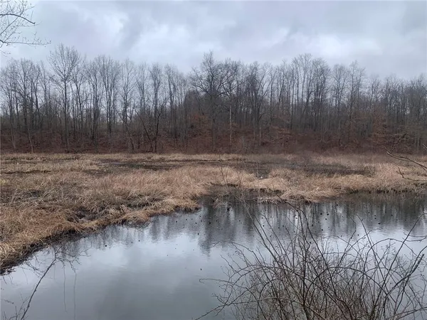 a view of a lake with trees in the background